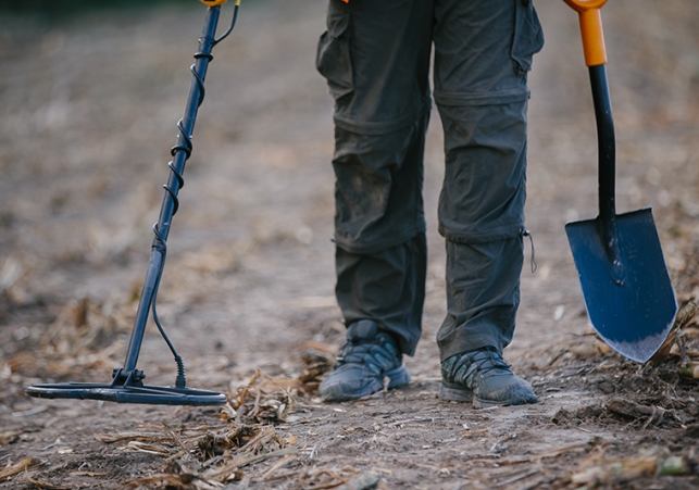 Odkrycia w Puszczy Knyszyńskiej