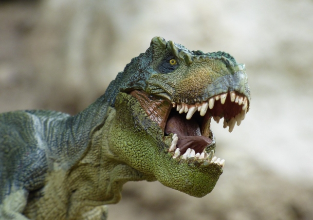 badania odchodow dinozaurow