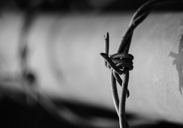 zabezpieczenie granic łotwy