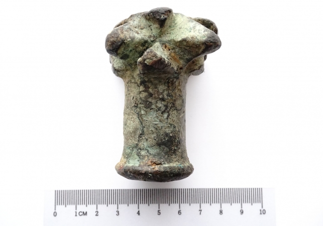 buława gwiaździsta