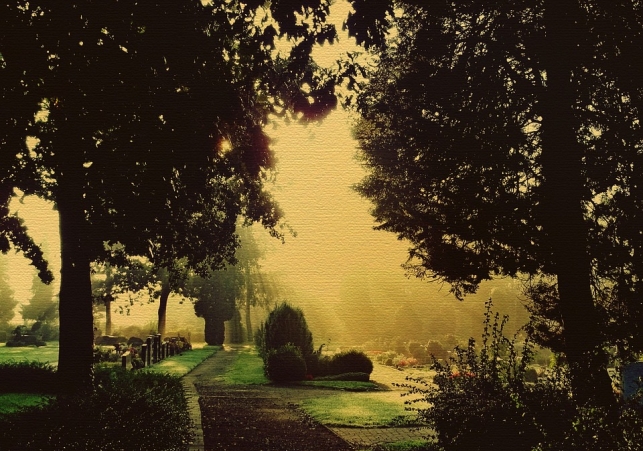 Cmentarz zrównoważony