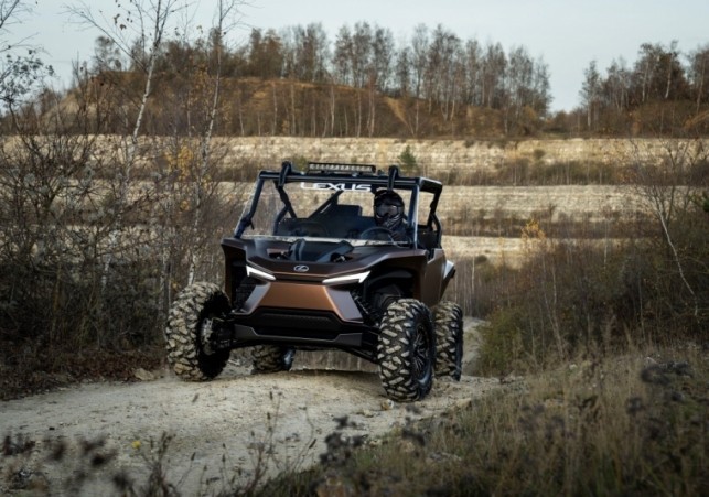 terenowe buggy