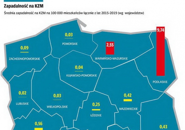 kleszczowe zapalenie mozgu