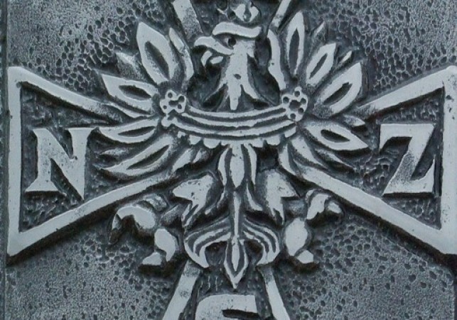 narodowe sily zbrojne