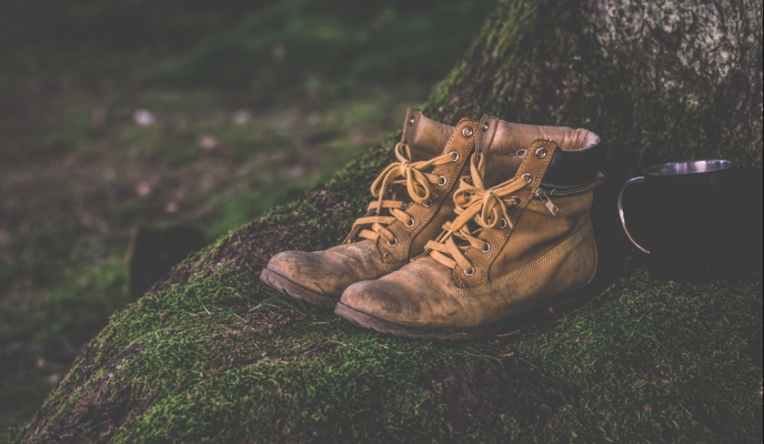 pexels-photo-167706_zmien rozmiary