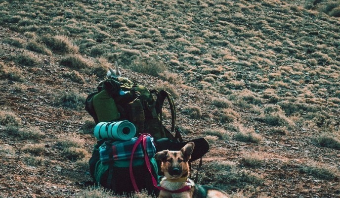 pexels-photo-2071548_zmien rozmiary