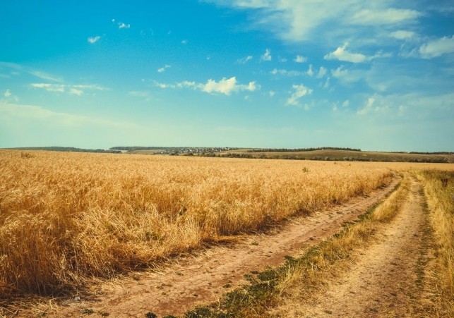 siekierka krzemienna