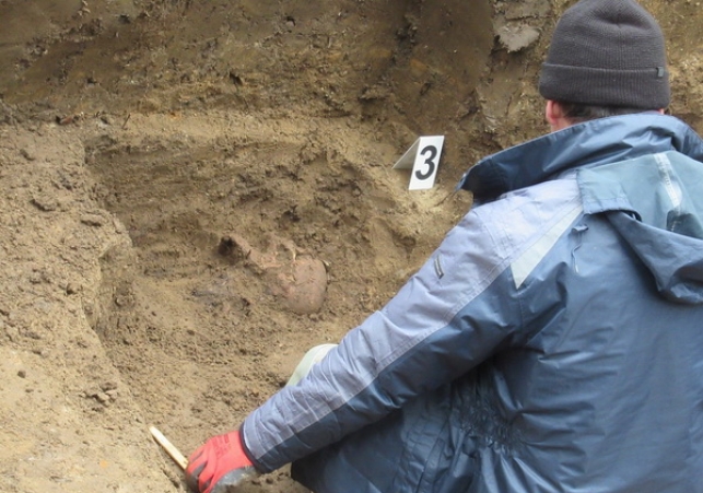 poszukiwania na Cmentarzu Osobowickim