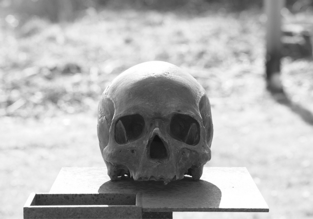 poszukiwania ofiar Zbrodni Wołyńskiej