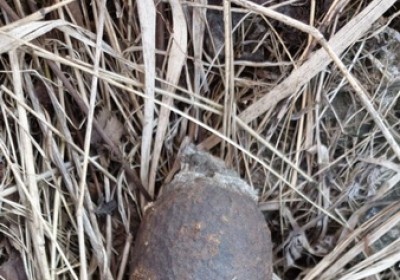 NIewybuch na Pustyni Bledowskiej