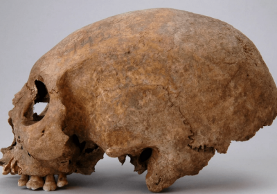 modyfikacja czaszek wikingów