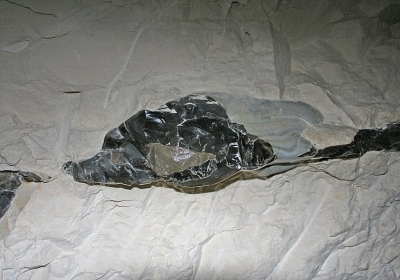 krzemionki opatowskie unesco