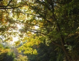 pexels-photo-5473057