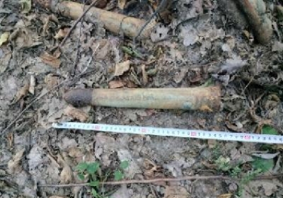 pociski na grzybobraniu