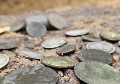 skarb z wdeckiego parku