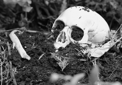 Szczątki cywilów z Powstania Warszawskiego